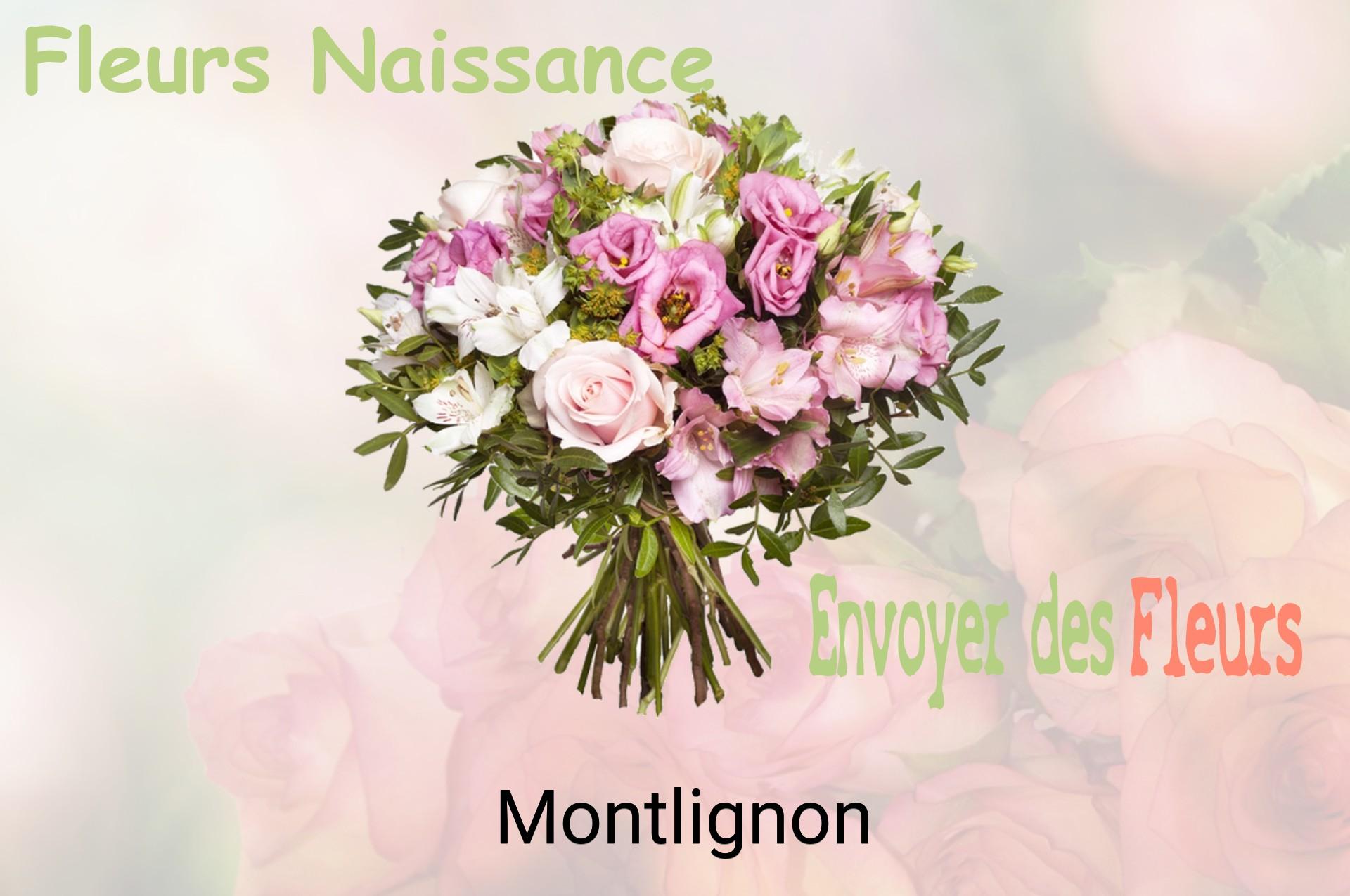 Bouquet de fleurs de naissance livré à Montlignon